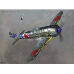 Nakajima Ki-44-II - 1/72 kit