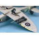 Spitfire Mk.XIVc - 1/72 kit