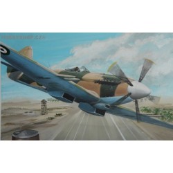 Supermarine Spitfire Mk.22 Special marking - 1/72 kit