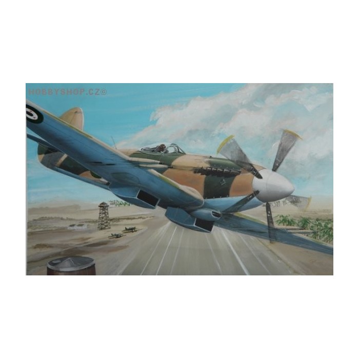 Supermarine Spitfire Mk.22 Special marking - 1/72 kit