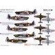 Morane Saulnier MS-406C.1 Battle of France - 1/48 kit