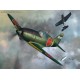 J2M3 Raiden / Jack Type 21 - 1/72 kit