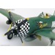 P-47D Thunderbolt Eileen - 1/72 kit