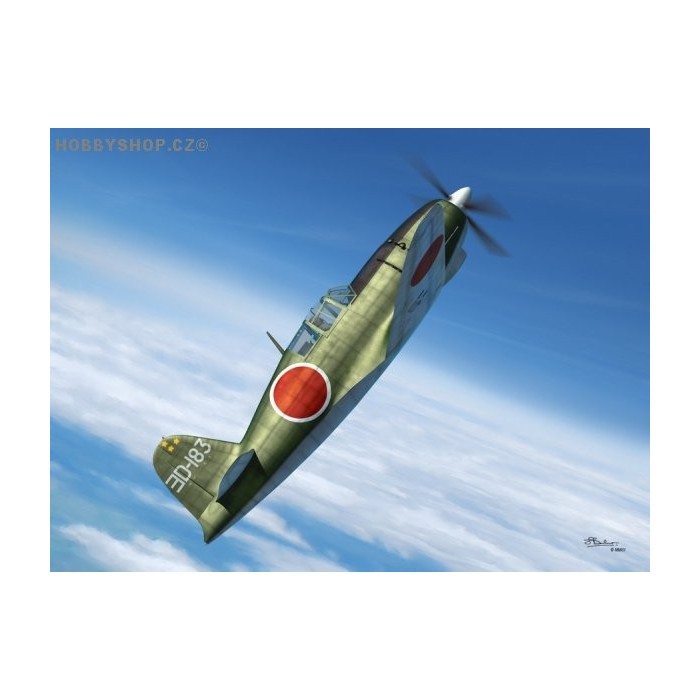 J2M5/6 Raiden (Jack) type 31/33 - 1/72 kit