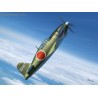 J2M5/6 Raiden (Jack) type 31/33 - 1/72 kit